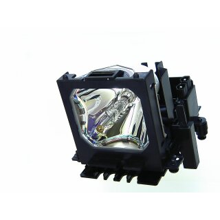 Replacement Lamp for LIESEGANG dv560 with housing