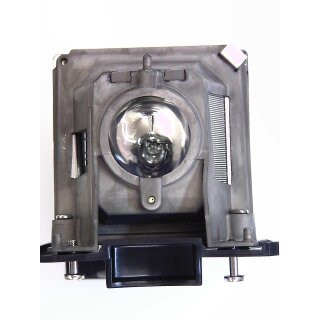 Replacement Lamp for NEC VE280X with housing