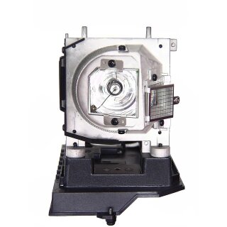 Replacement Lamp for OPTOMA TW675UTIM-3D with housing
