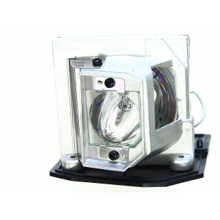 Replacement Lamp for OPTOMA TH1020 with housing