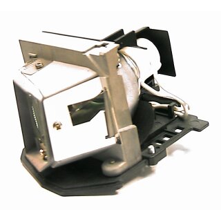 Projektorlampe OPTOMA BL-FU185A mit Gehäuse