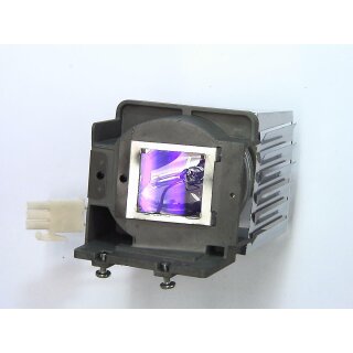 Projektorlampe OPTOMA BL-FP180F mit Gehäuse