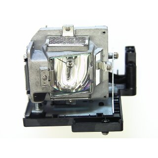 Projektorlampe OPTOMA BL-FP180D mit Gehäuse