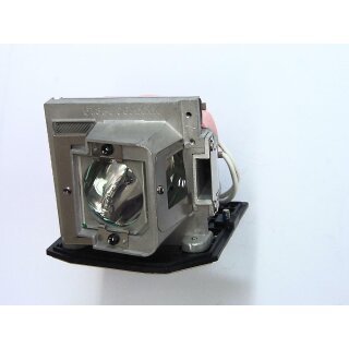 Projektorlampe OPTOMA BL-FP280H mit Gehäuse
