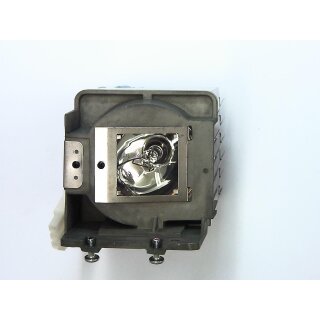 Projektorlampe OPTOMA FX.PE884-2401 mit Gehäuse
