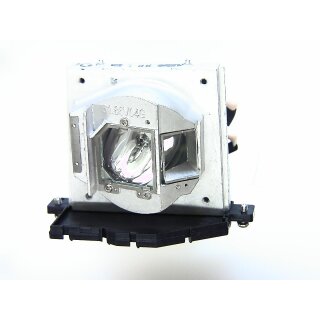 Projektorlampe OPTOMA BL-FU220C mit Gehäuse