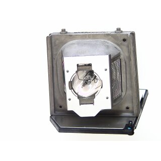 Projektorlampe OPTOMA BL-FP230A mit Gehäuse