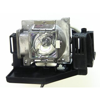 Projektorlampe OPTOMA DE.379761080 mit Gehäuse