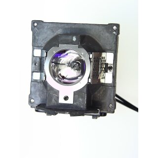 Projektorlampe BENQ 5J.J2D05.001 mit Gehäuse