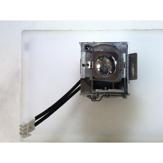 Projektorlampe SMARTBOARD 1018580 mit Gehäuse