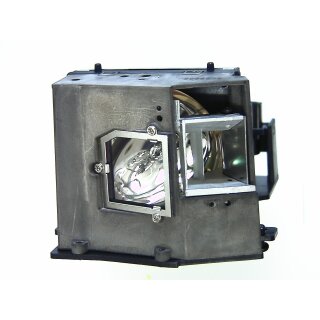 Projektorlampe OPTOMA BL-FU250C mit Gehäuse